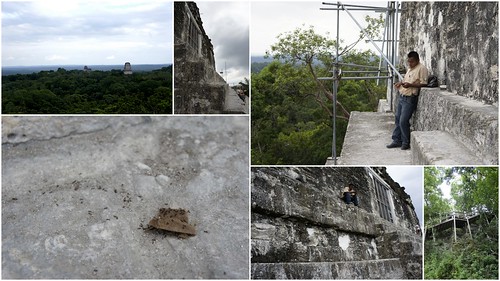 提卡爾金字塔Tikal6