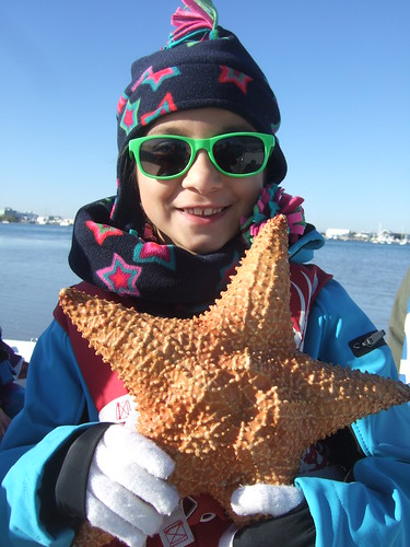Katie's big starfish