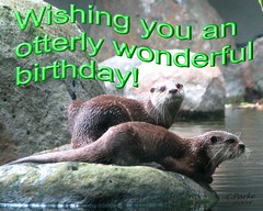 eCard- Birthday: otter -ly wonderful