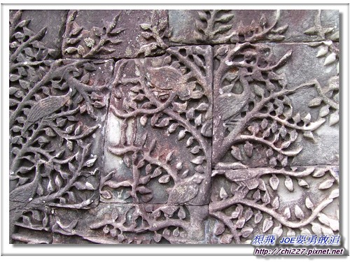 吳哥城-菩提樹雕刻