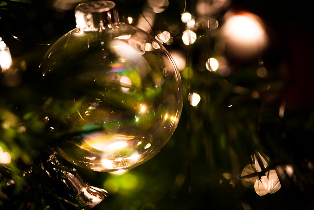Christmas Bubble [EOS 5DMK2 | EF 100mm Macro | 1/15 s | f/2.8 | ISO800]