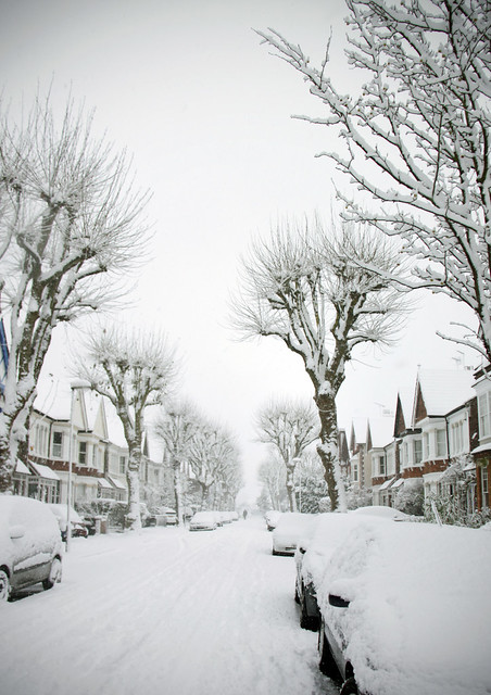 Our street in snow