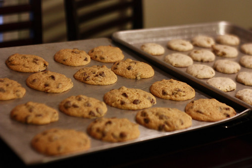mmm fresh cookies