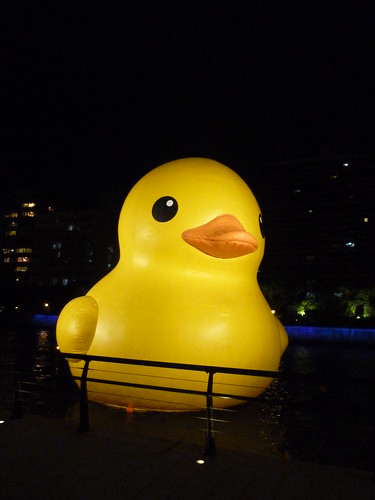 Rubber Duck Project 2010_037
