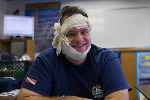 Grant after my bandaging exercise for my EFRI course
