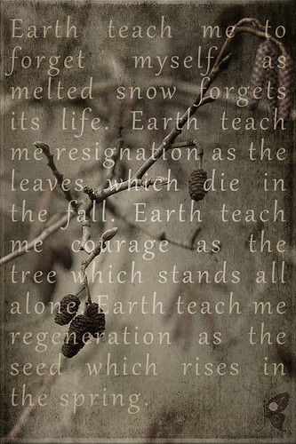 earth teach me