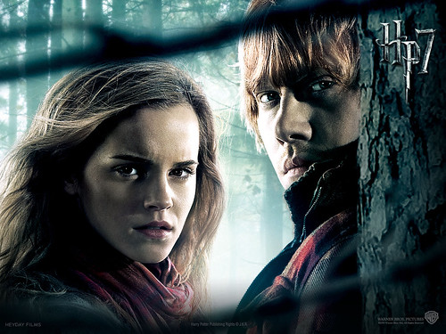 harry potter and deathly hallows part 2_03. Harry Potter Movie Wallpaper
