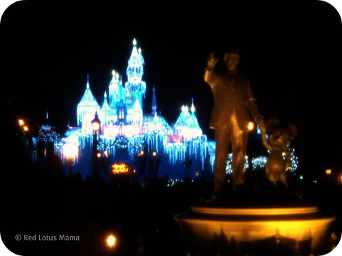 Sleeping Beauty's Winter Castle