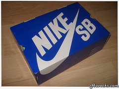 Nike SB Ryu - 01