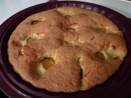 tarte suisse aux abricots 02