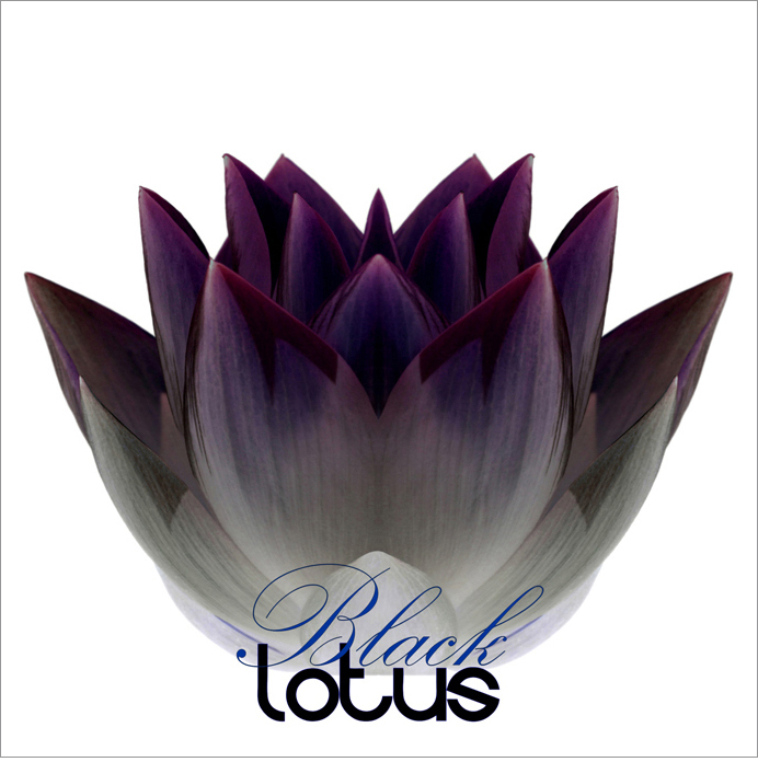 Black Lotus - Black-Lotus-38-2-800