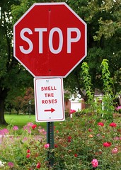Stop & smell the roses