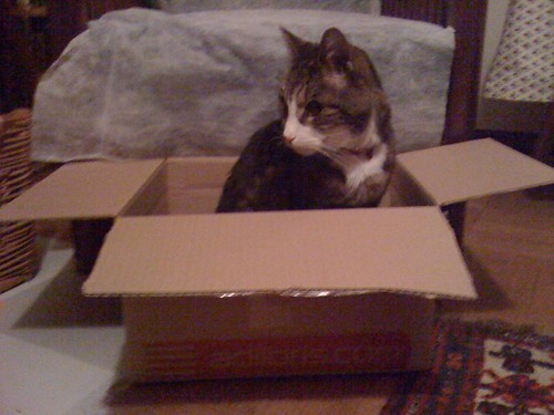 Morris in a Box