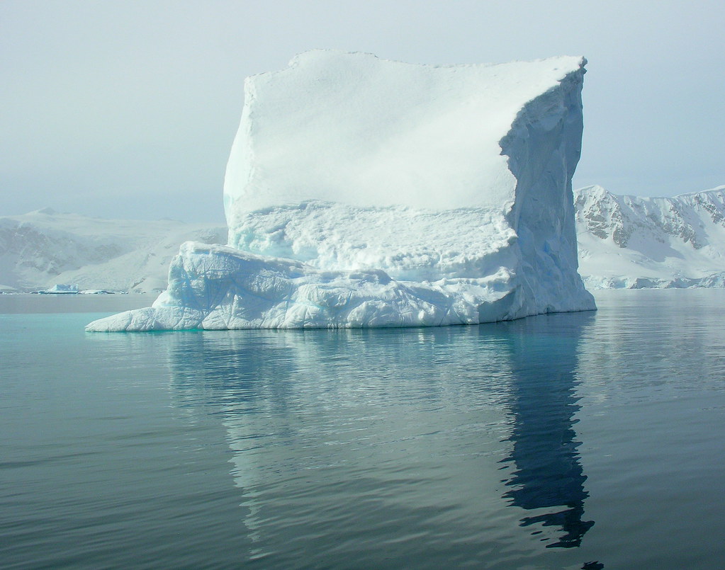 ANTARCTICA2010-152 Foyn Barbour 南極 Foyn灣