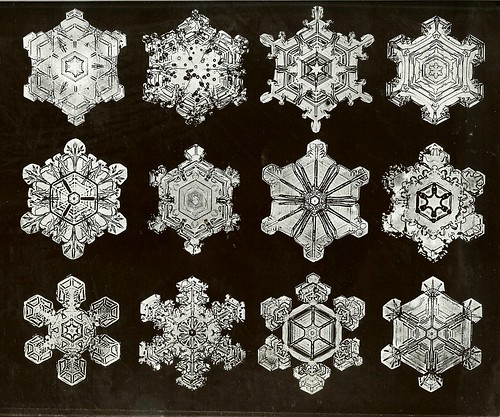 Snow Crystal Photos by W.A. Bentely