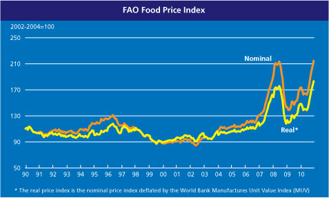FAO_food_graph_3