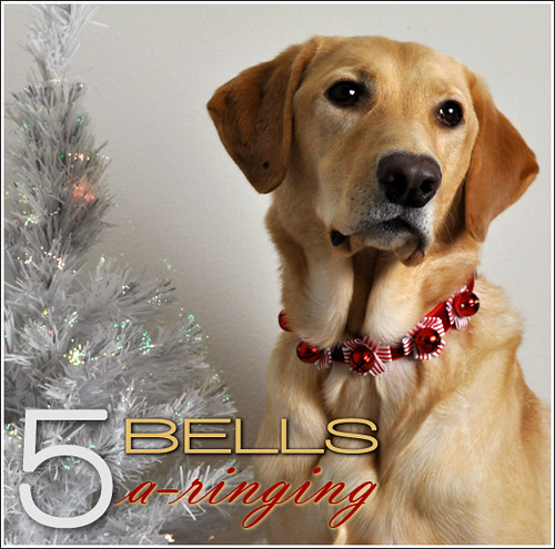 5 Bells A-Ringing