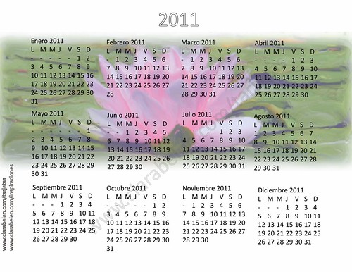 Calendario Almanaque Anual 2011