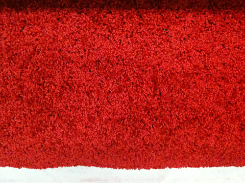 carpet (and instagram avatar)
