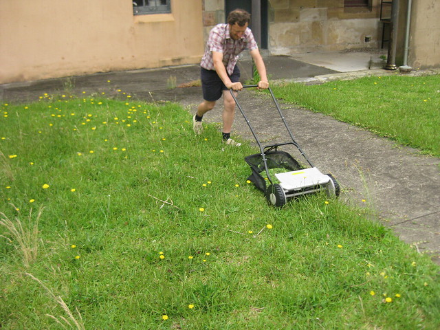 diego mowing