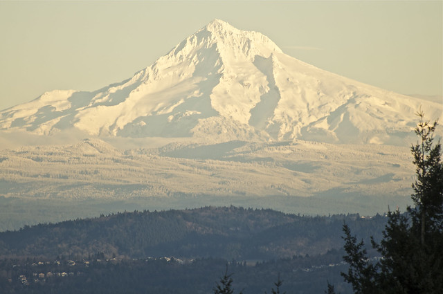Mt. Hood from Council Crest