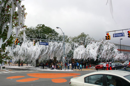 1.11.11 {Rolling of Toomer's Corner: The Day After}