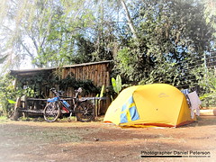 Upper Hill Campsite, Nairobi Kenya