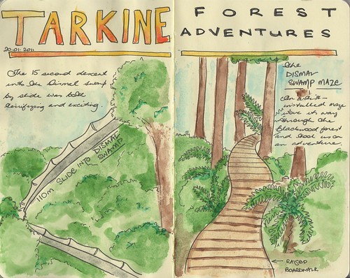 Tarkine forest adventure