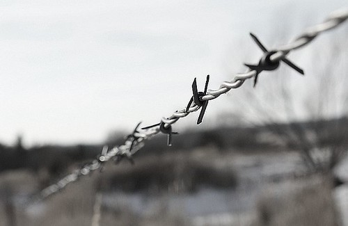 Barbed-wire Fence