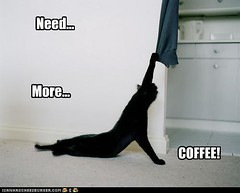morecoffee