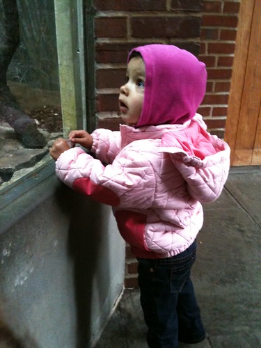 Laila at the zoo