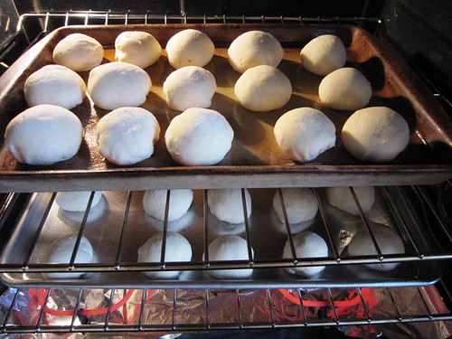 Potato rolls in oven