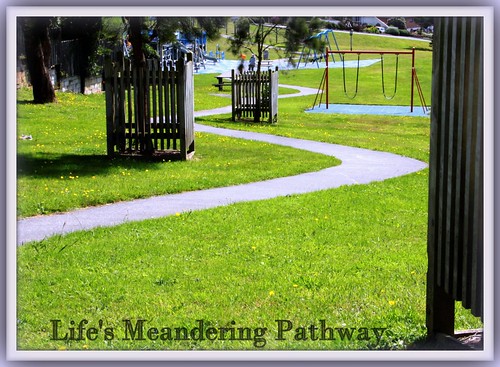 Life is a meandering pathway