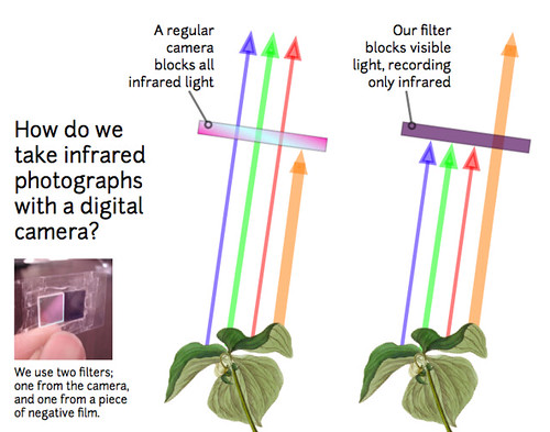 Public Laboratory: filtering infrared and visible light