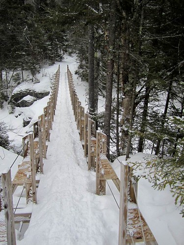 skiing across a suspension bridge