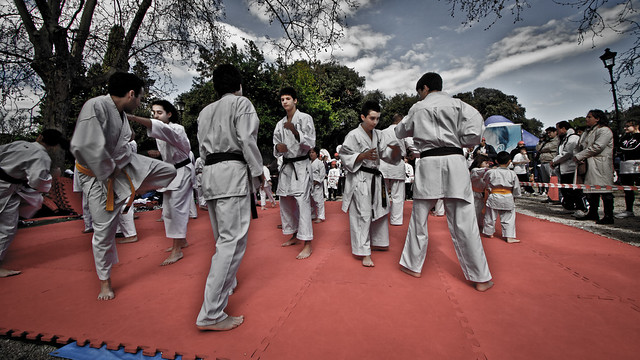 Karate - IMG_0578