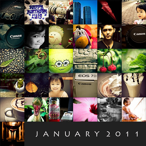 January 2011 done!