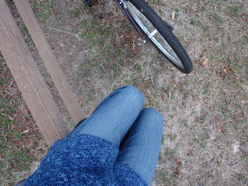 Bike Fence and Me