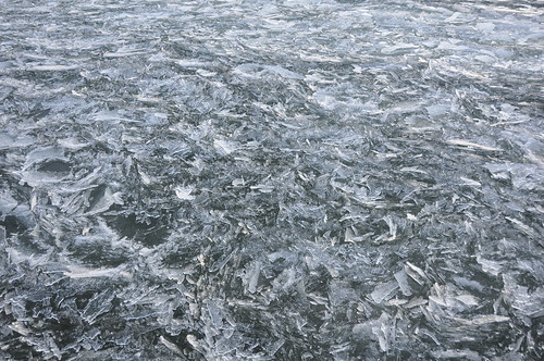 Floating ice shards