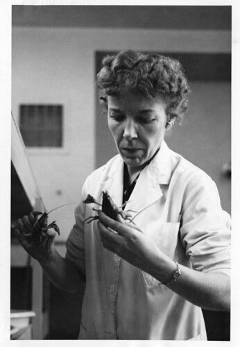 Mary Alice McWhinnie (1922-1980) was a professor of biology at DePaul University and a world-renowne