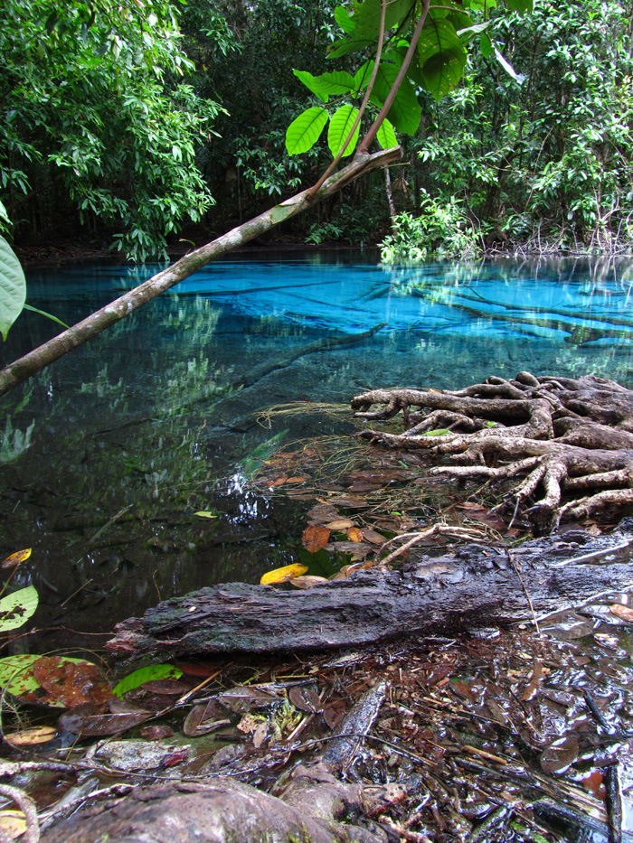 Turquoise Lake - Krabi, Thailand