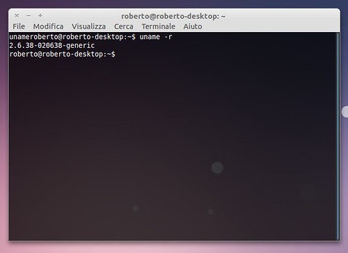 Kernel 2.6.38 su Ubuntu