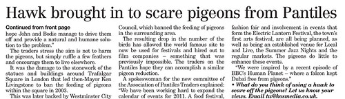 Pigeon article2