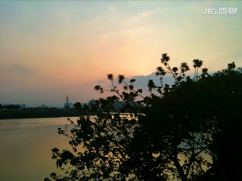  華中橋河濱公園 20110402iphone-079-J的閒聊 (iPhone 3GS攝)