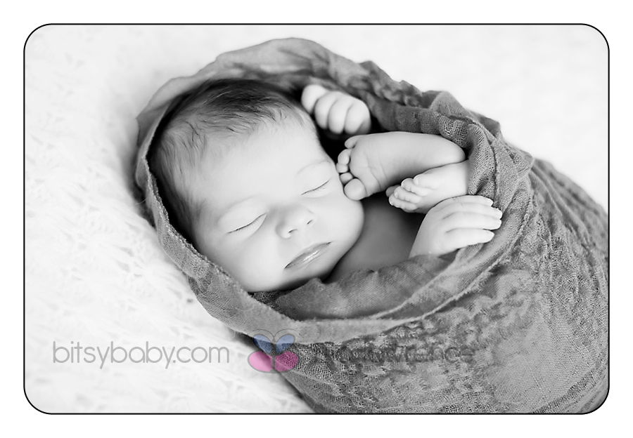 Bitsy Baby Newborn Photographer 1