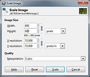 Scale Image dialog box in GIMP