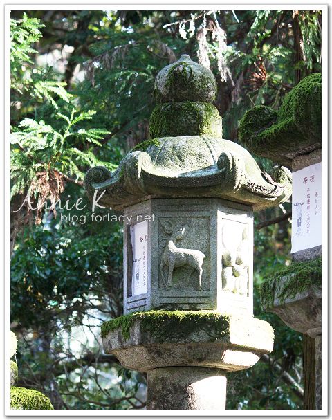 奈良_鹿石燈