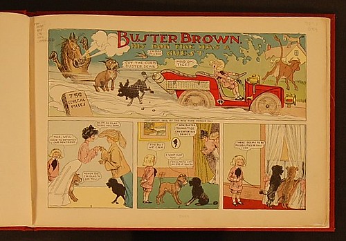 Buster Brown After Treatment