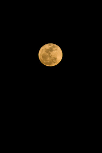 Moon 03.19.2011