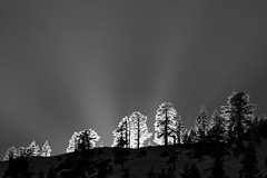 Mist trail, Yosemite, CA, USA